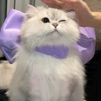 Cat Mermaid Crossdressing Funny Swimsuit Fish Tail Shape Cute Bikini Dog Pet Clothes Pet Halloween Costume Cats Clothes