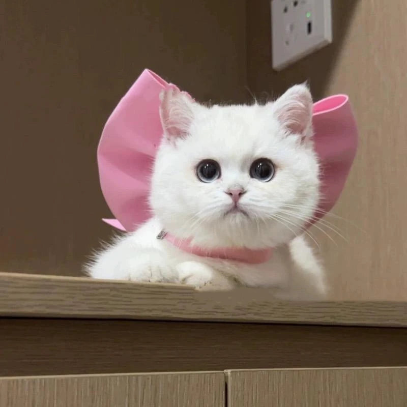 Cat Mermaid Crossdressing Funny Swimsuit Fish Tail Shape Cute Bikini Dog Pet Clothes Pet Halloween Costume Cats Clothes