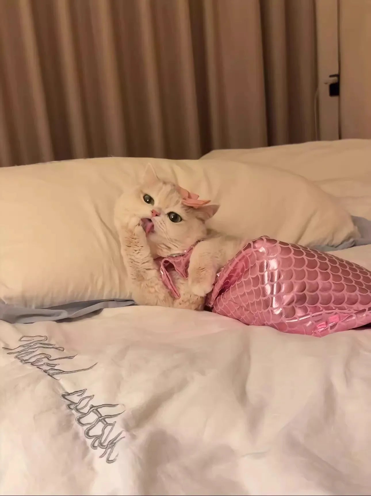 Cat Mermaid Crossdressing Funny Swimsuit Fish Tail Shape Cute Bikini Dog Pet Clothes Pet Halloween Costume Cats Clothes