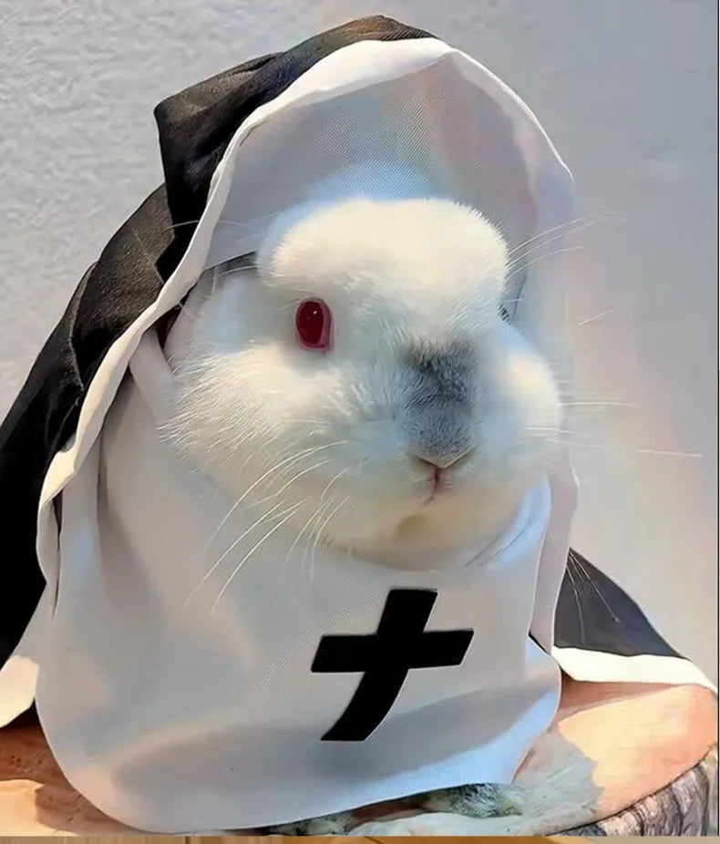 Cat Costumes, Cats and Dogs, Cross-dressing, Funny COS, Small and Medium-sized Pet Photo Props, Cat Funny Costumes